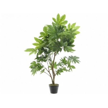 Plante Artificielle Aralie...