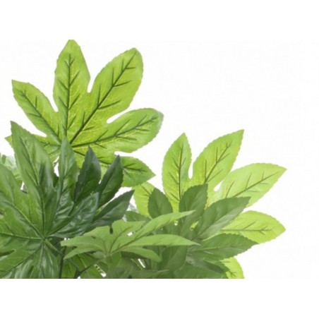 Plante Artificielle Aralie...