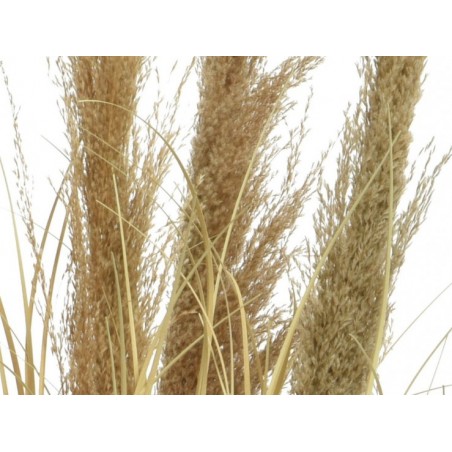 Herbe en pot pvc  Naturel Ø...