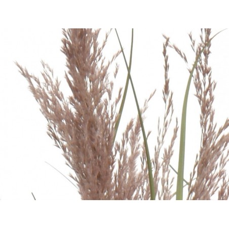 Herbe en pot pvc Ø 35 x 90...