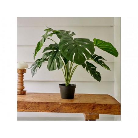 Monstera artificiel - Nos...