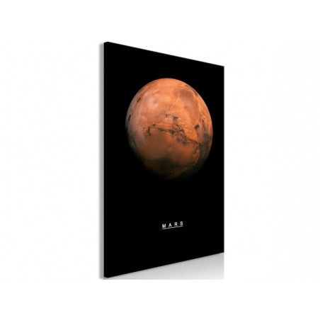 Tableau déco sur toile -...