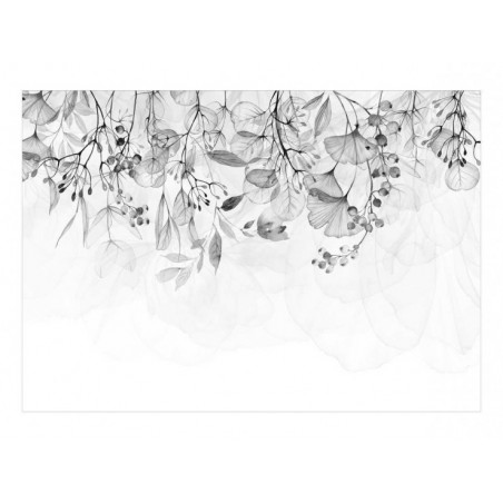 Papier peint - Foggy Nature...