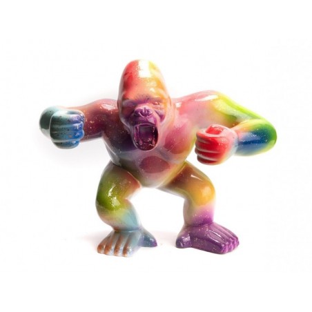 Gorille Rainbow S - Amadeus