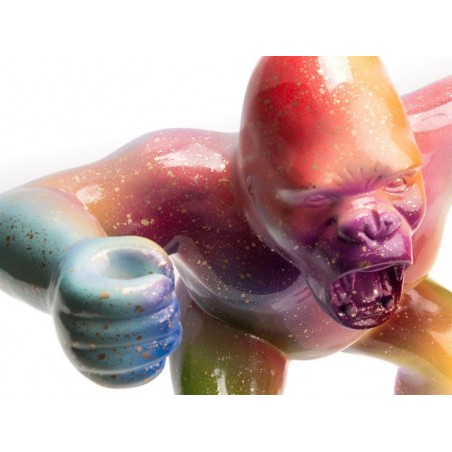 Gorille Rainbow S - Amadeus