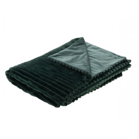 Plaid Sultan - Amadeus