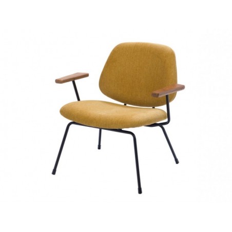 Fauteuil Arnold - Amadeus