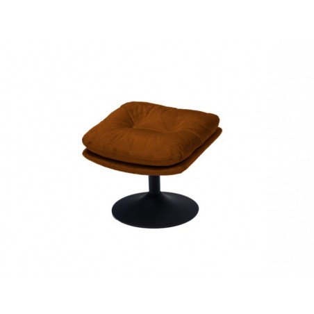 Repose-pied Magnum pied...