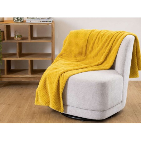 Plaid Damier - Amadeus