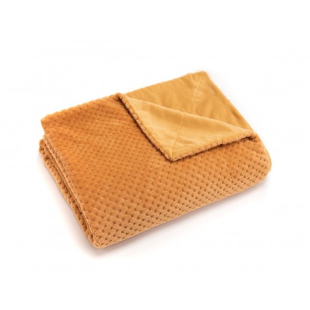 Plaid Damier - Amadeus