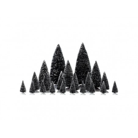 Assortiment de sapins...