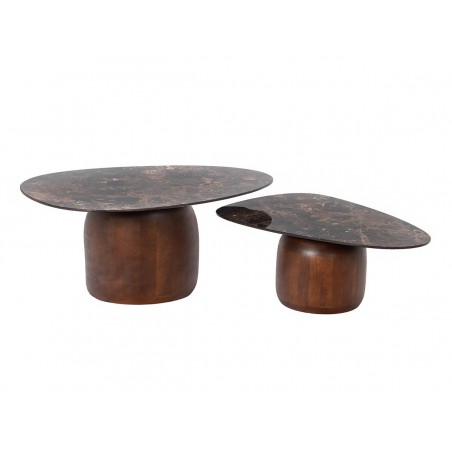 Lot de 2 tables basses...