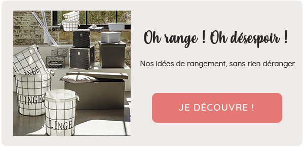 Boîtes et malles de rangement