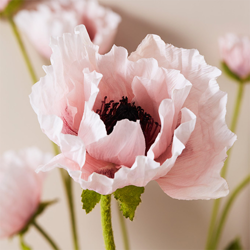 Décoration de mariage fleurs