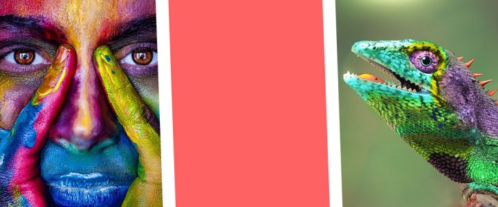 « La couleur Pantone® 2019 » couleur-pantone-2019-living-coral