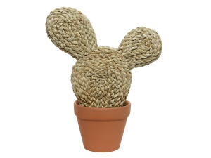 cactus-fibre-naturelle-tressée