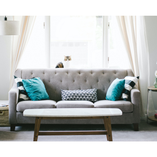 coussin-deco-canape-salon