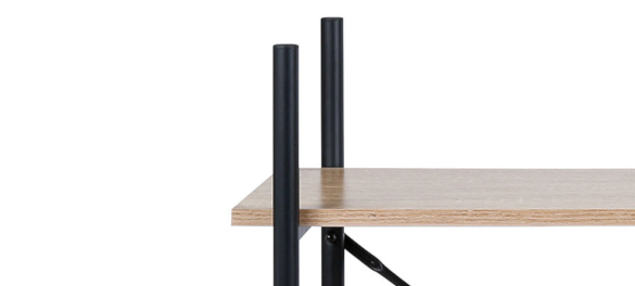 Ses caractéristiques 