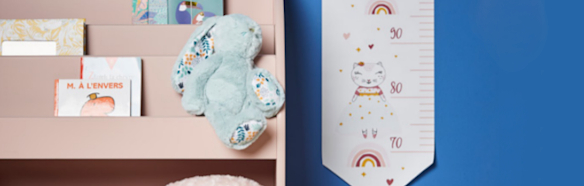 Caractéristiques de la bibliothèque César 