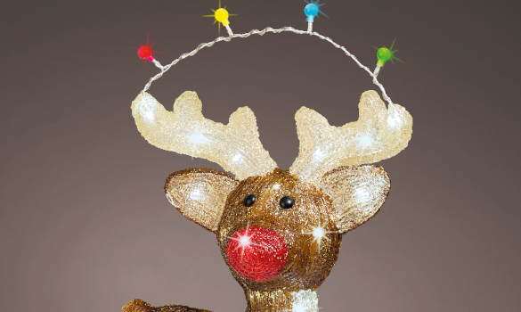 Le cerf au petit nez rouge