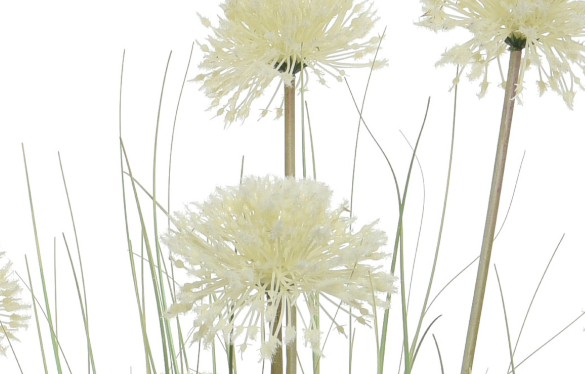 L'allium délicat pour une déco poétique