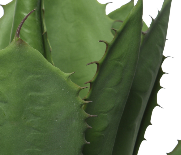 Envie d’ailleurs ou souvenir de voyage …