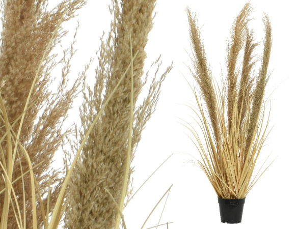 Plantez le décor pour une ambiance bohème réussie