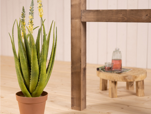 Une plante artificielle de caractère