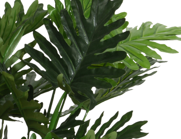 Un Philodendron dans le salon pour une déco nature et rafraîchissante