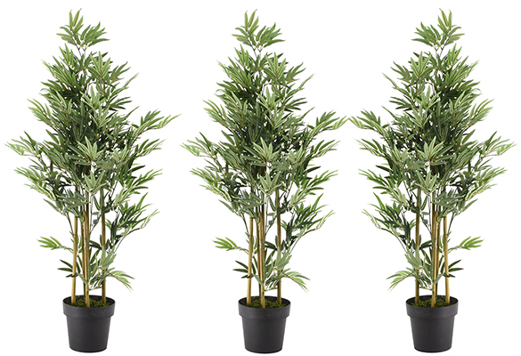 Au (bam)bout de la Terre