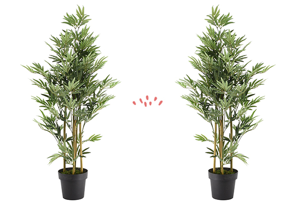 J'ai la main verte qui ne pousse toujours pas