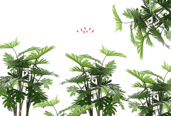 Zéro rempotage, ça dépote !