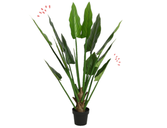 Un petit coin de paradis