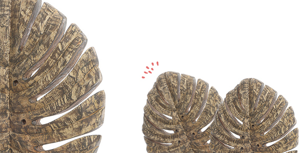 863663 (4) deco decoration feuille bois nature statue