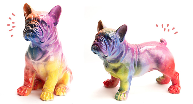 Le Bulldog Français Yuki Rainbow Amadeus 