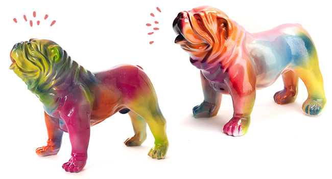 Adoptez le Bulldog USA Rainbow Amadeus !