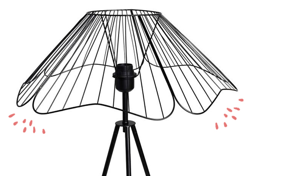 Une fleur pour votre décoration d'intérieure