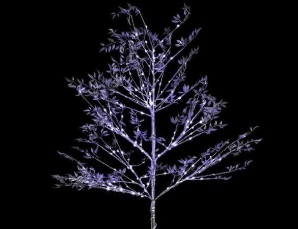 Un arbre lumineux empreint de magie !