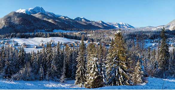 Habillez votre mur pour les fêtes avec cette toile de fond Montagne enneigée