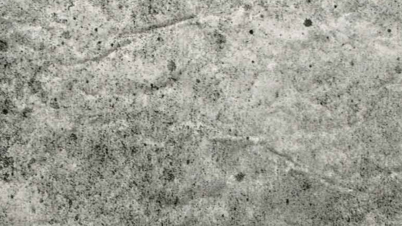 Caractéristiques et dimensions