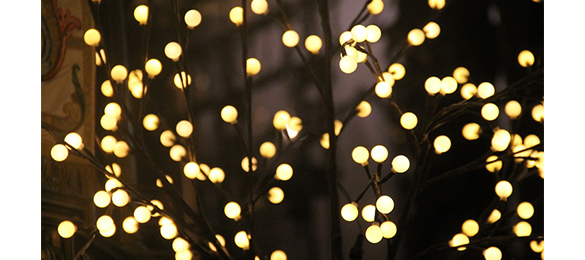 Elle arpente les murs de votre intérieur 