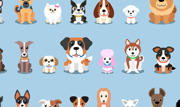 Toutes ses caractéristiques