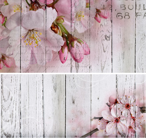 Ses caractéristiques