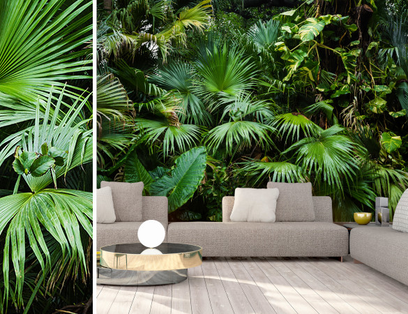 Une déco green et tropicale 