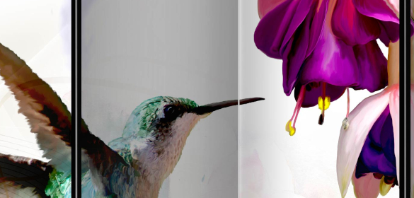 Dimensions et caractéristiques