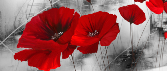 Caractéristiques et dimensions